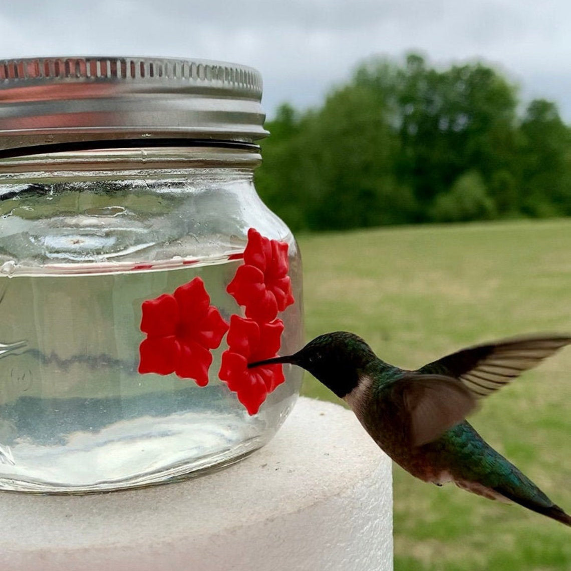 Mason Jar Hummingbird Feeder