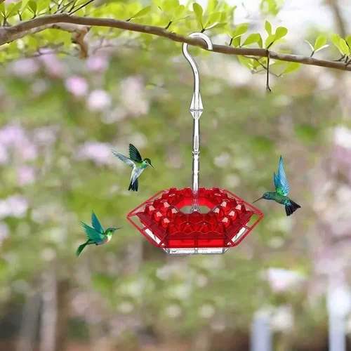 Sherum Sweety Hummingbird Feeder